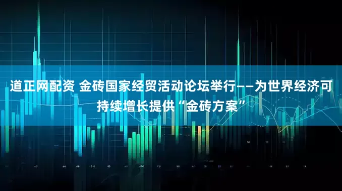 道正网配资 金砖国家经贸活动论坛举行——为世界经济可持续增长提供“金砖方案”