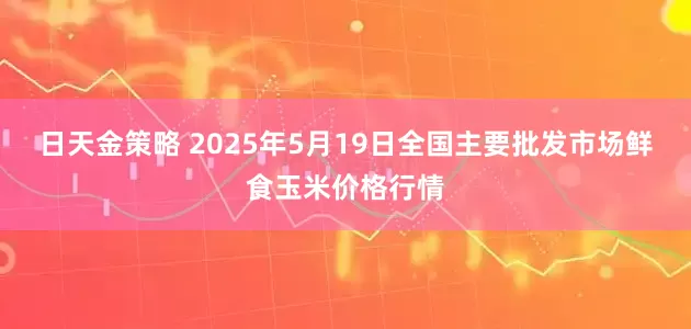 日天金策略 2025年5月19日全国主要批发市场鲜食玉米价格行情